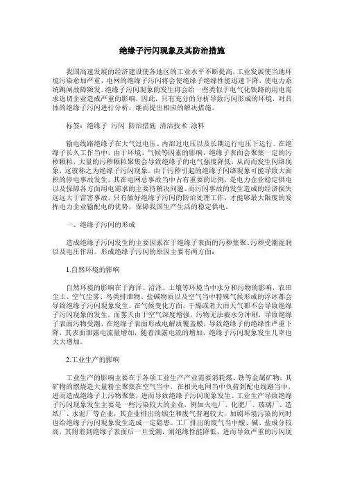 绝缘子污闪现象及其防治措施