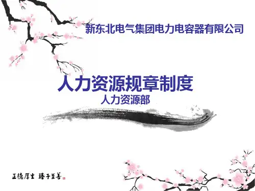人力资源制度new1.pptx