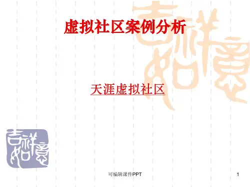 虚拟社区典型案例ppt课件