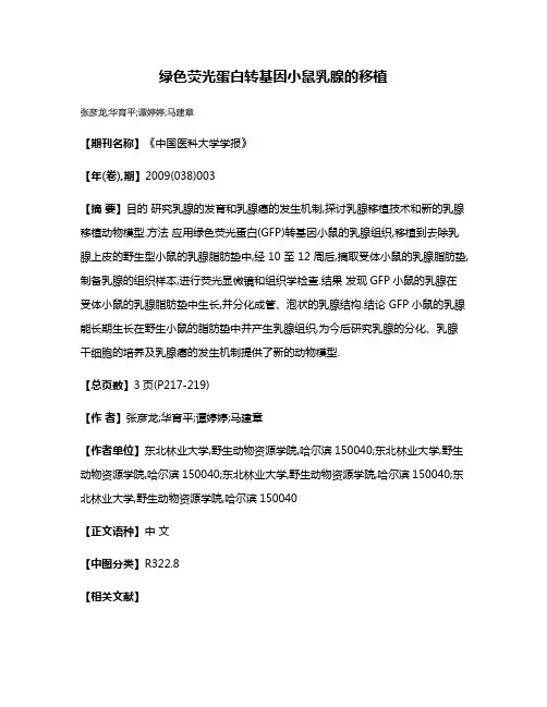 绿色荧光蛋白转基因小鼠乳腺的移植