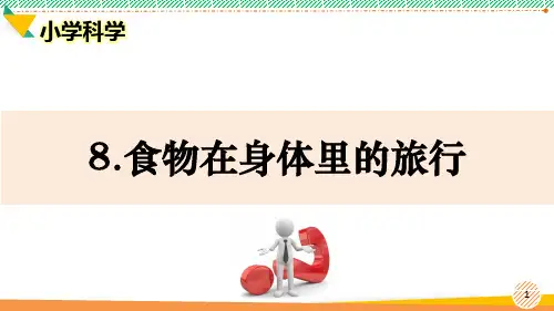 小学科学《食物在身体里的旅行》优质课件