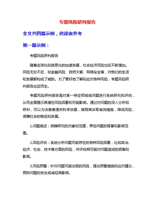 专题风险研判报告