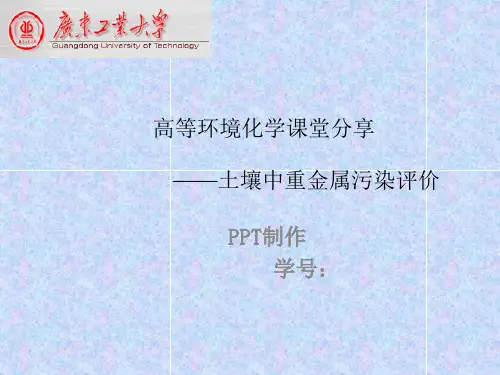 重金属ppt