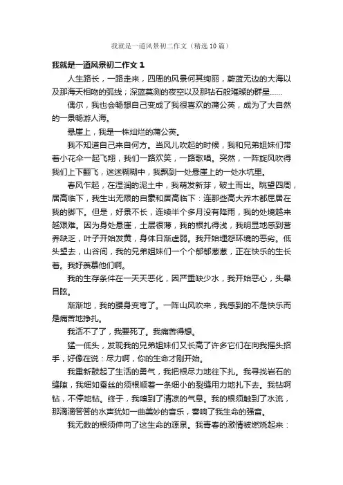 我就是一道风景初二作文（精选10篇）