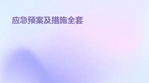 2024版应急预案及措施全套
