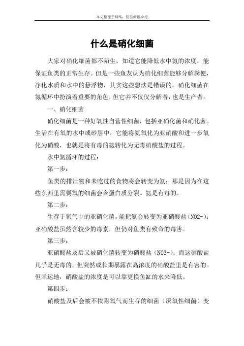 什么是硝化细菌
