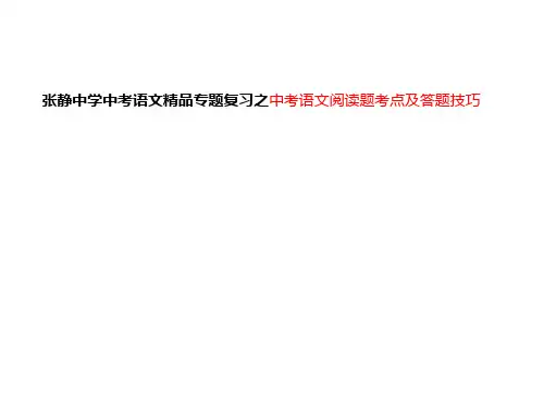 张静中学中考语文专题复习之中考语文阅读题考点及答题技巧