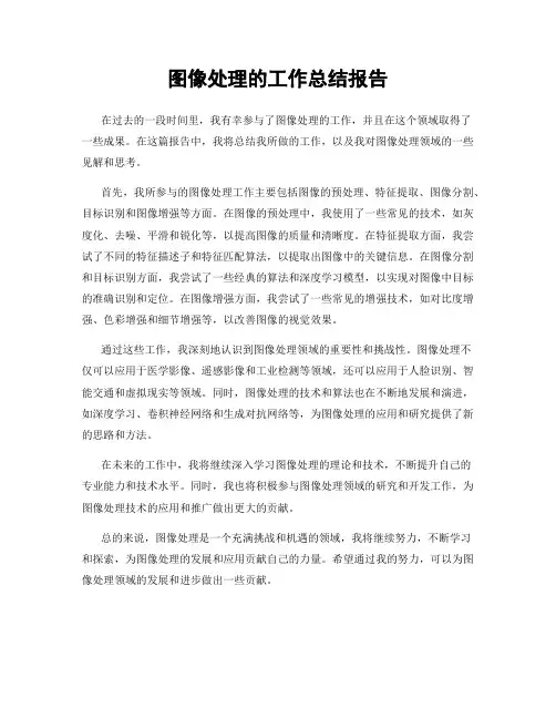 图像处理的工作总结报告
