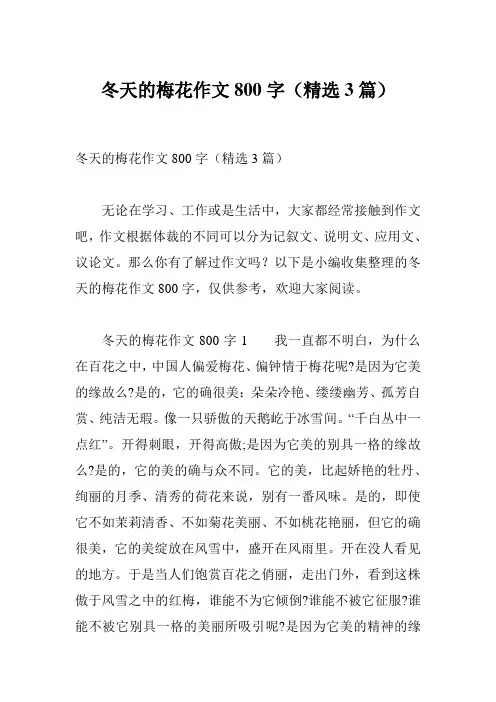 冬天的梅花作文800字(精选3篇)