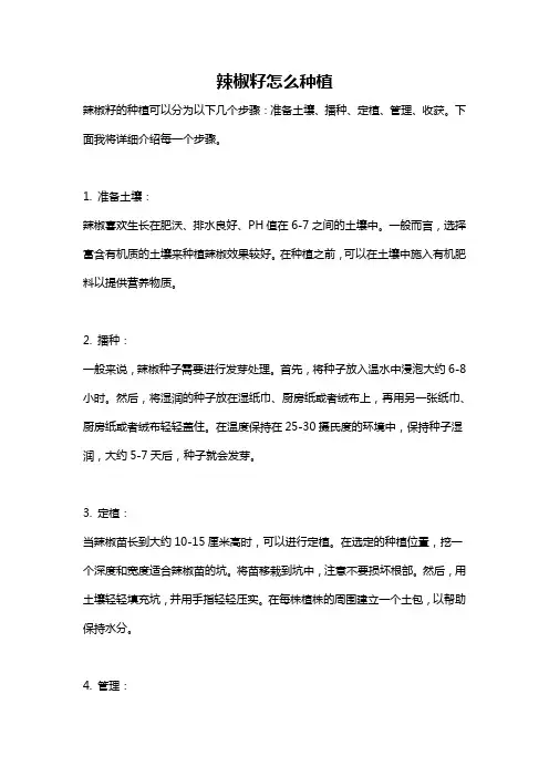 辣椒籽怎么种植
