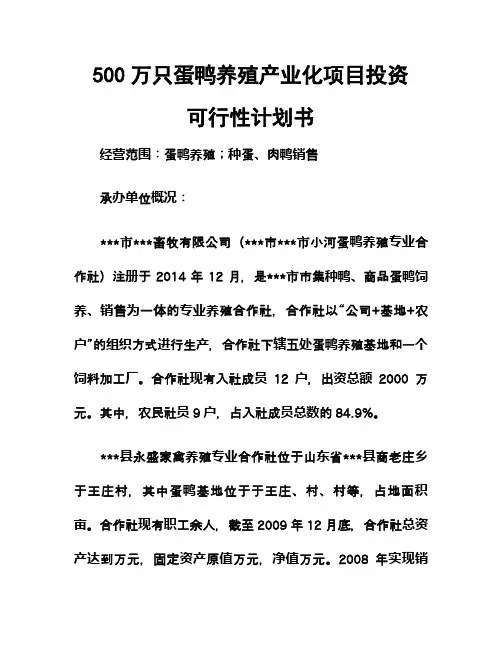 蛋鸭养殖产业化项目投资可行性计划书