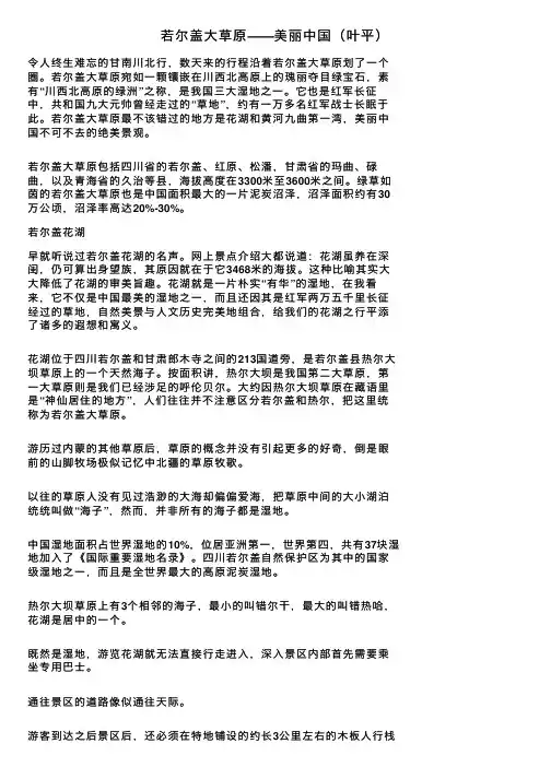 若尔盖大草原——美丽中国（叶平）