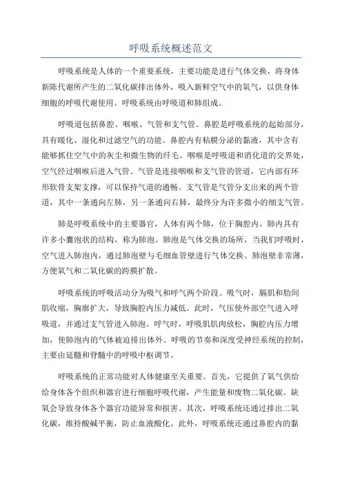 呼吸系统概述范文
