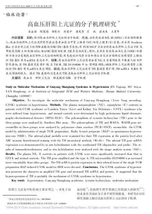 高血压肝阳上亢证的分子机理研究_金益强
