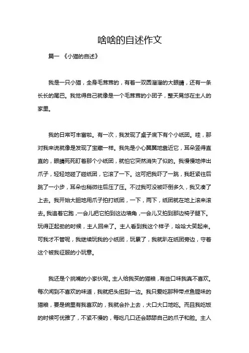 啥啥的自述作文