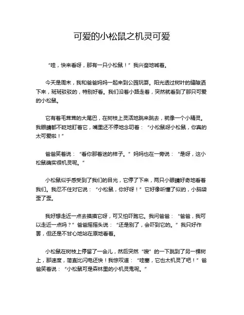 可爱的小松鼠之机灵可爱