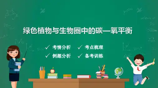 中考生物复习课件：绿色植物与生物圈中的碳—氧平衡