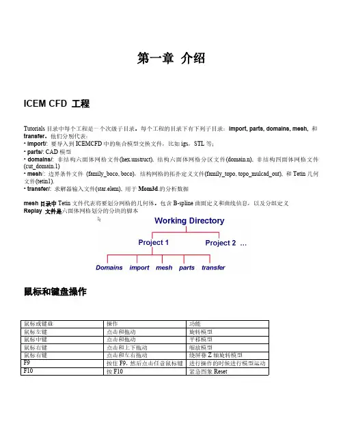 计算流体力学ICEMCFD网格生成基础指导教程