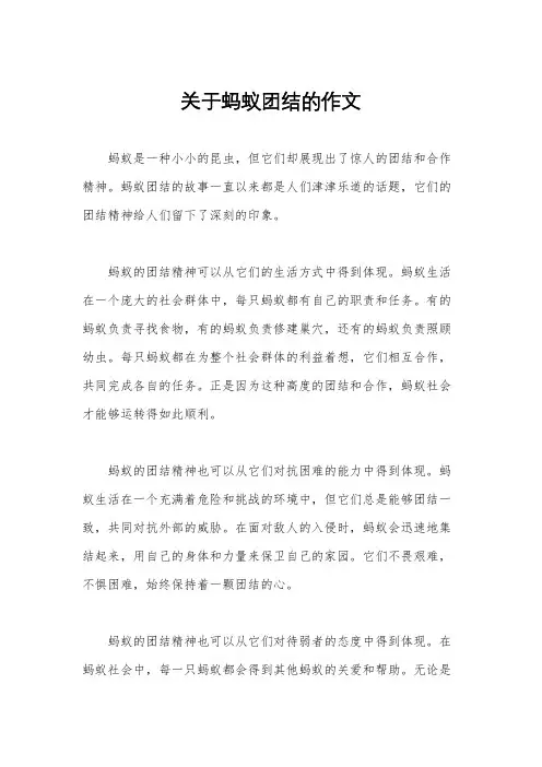 关于蚂蚁团结的作文