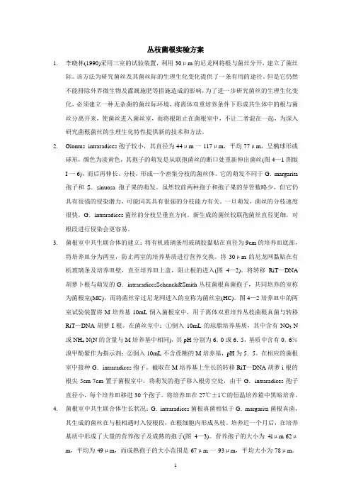 丛枝菌根实验方案