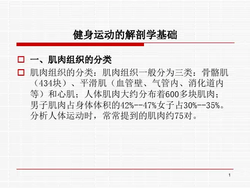 最全健身基础理论ppt课件