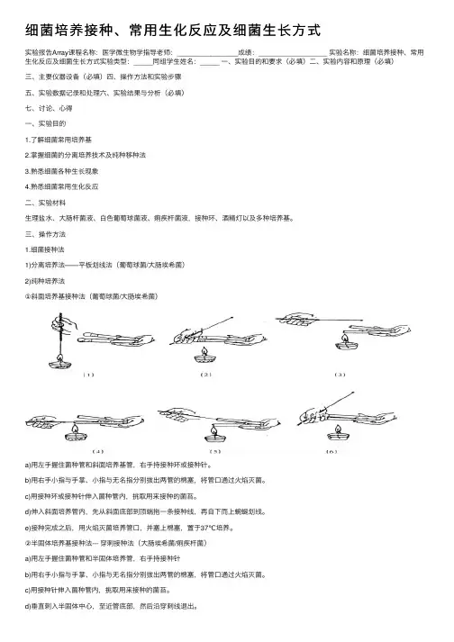 细菌培养接种、常用生化反应及细菌生长方式