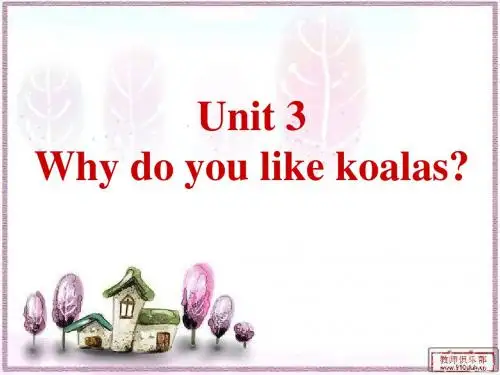 unit3 Why do you like koalas