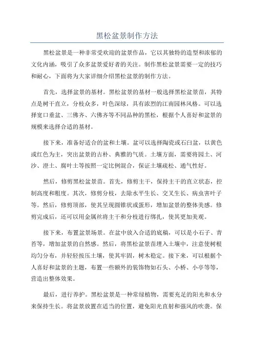 黑松盆景制作方法