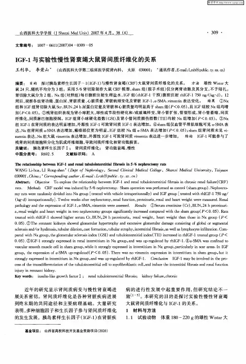 IGF-1与实验性慢性肾衰竭大鼠肾间质纤维化的关系