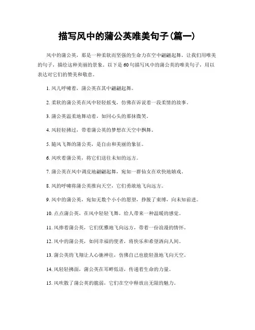 描写风中的蒲公英唯美句子(精选合集2篇)