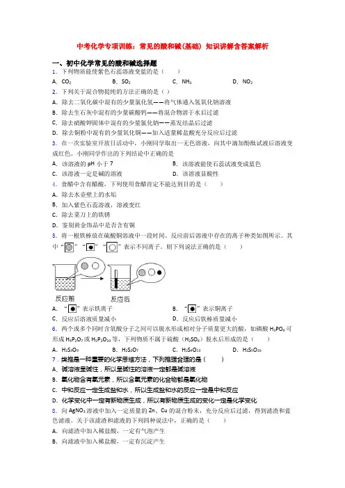 中考化学专项训练：常见的酸和碱(基础) 知识讲解含答案解析
