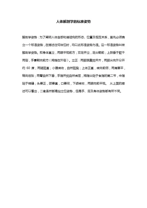 人体解剖学的标准姿势