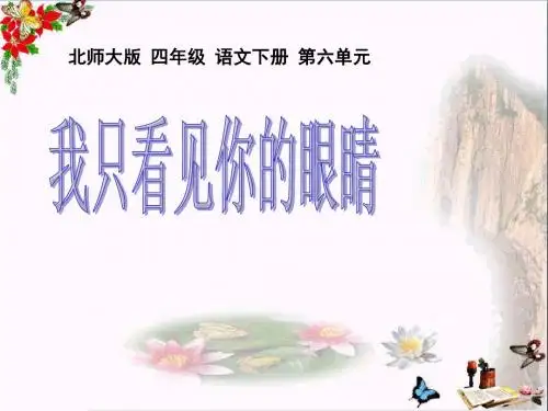 我只看见你的眼睛_PPT优秀课件