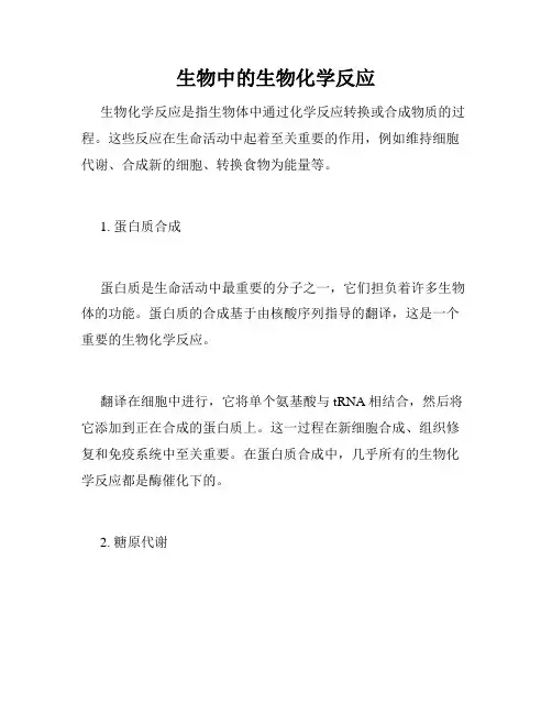 生物中的生物化学反应