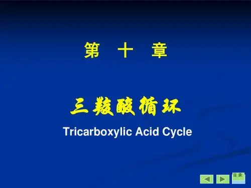 第10章 三羧酸循环(孙军)