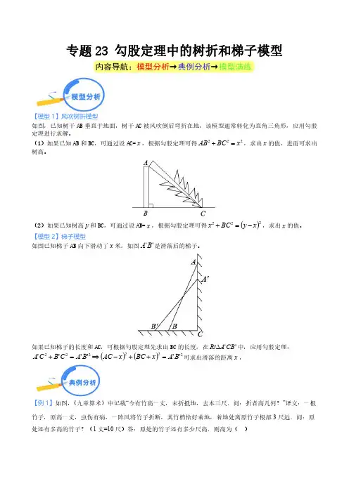 专题23 勾股定理中的树折和梯子模型--2024年中考数学核心几何模型重点突破(解析版)