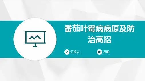 番茄叶霉病病原及防治高招
