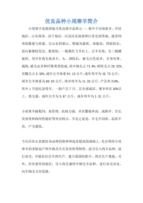 优良品种小尾寒羊简介