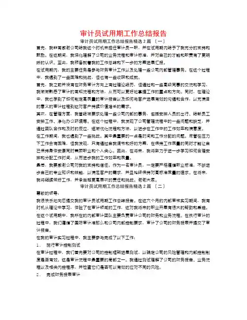 审计员试用期工作总结报告2篇