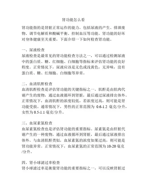 肾功能怎么看
