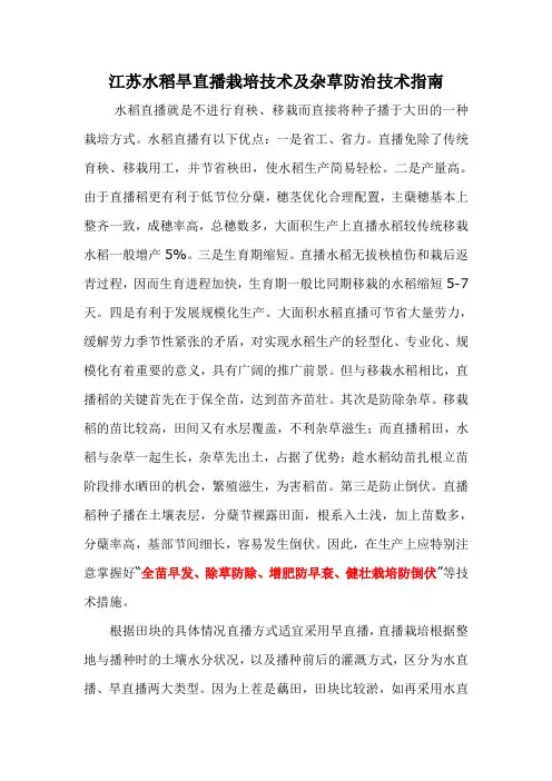 江苏水稻旱直播栽培技术及杂草防治技术指南
