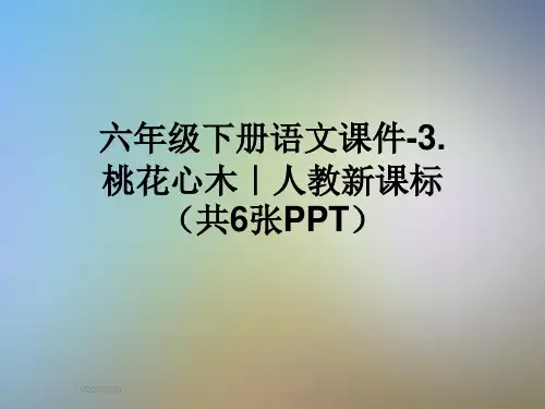 六年级下册语文课件-3.桃花心木｜人教新课标(共6张PPT)