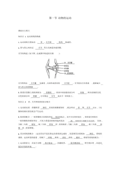 八年级生物上册5.2.1动物的运动学案(新版)新人教版