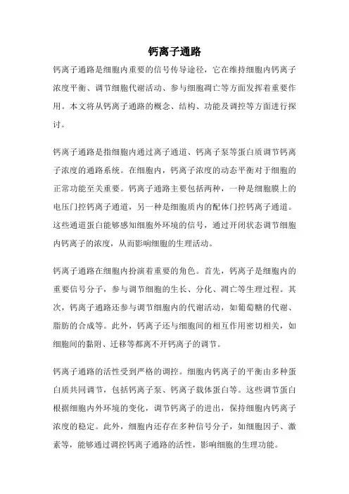 钙离子通路
