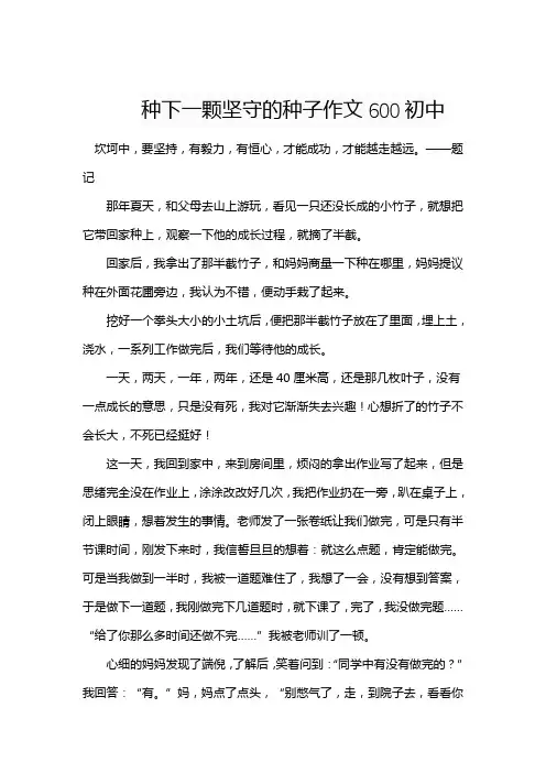 种下一颗坚守的种子作文600初中