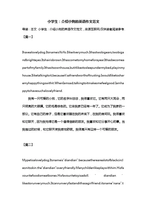 小学生：介绍小狗的英语作文范文