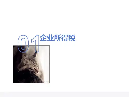 最新版企业所得税PPT