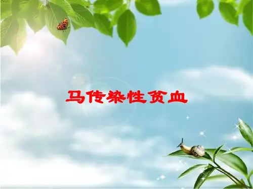 马传染性贫血培训课件