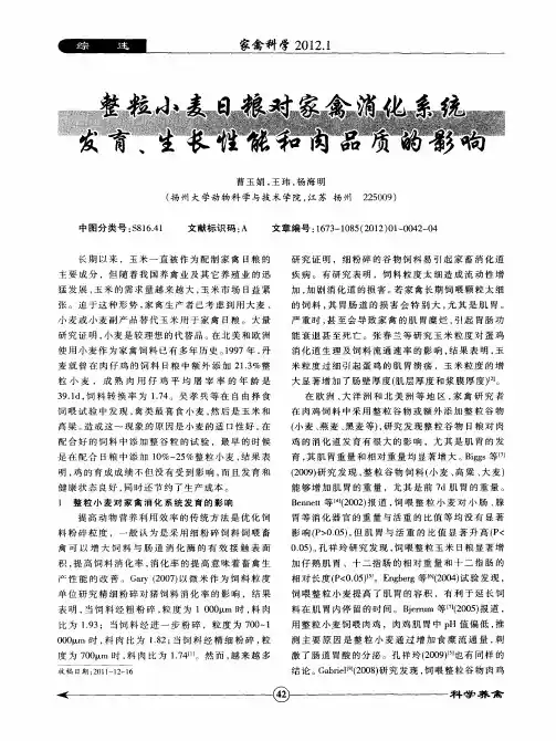 整粒小麦日粮对家禽消化系统发育、生长性能和肉品质的影响