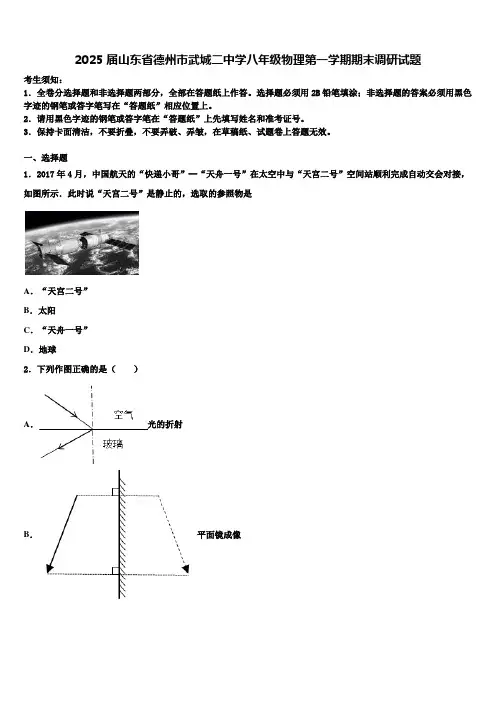 2025届山东省德州市武城二中学八年级物理第一学期期末调研试题含解析